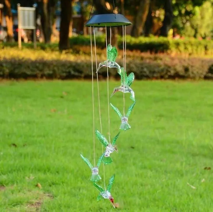 Solar light